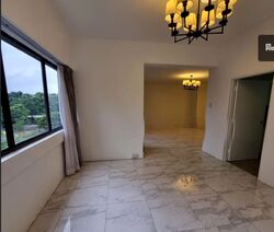 The Cairnhill (D9), Condominium #598382711
